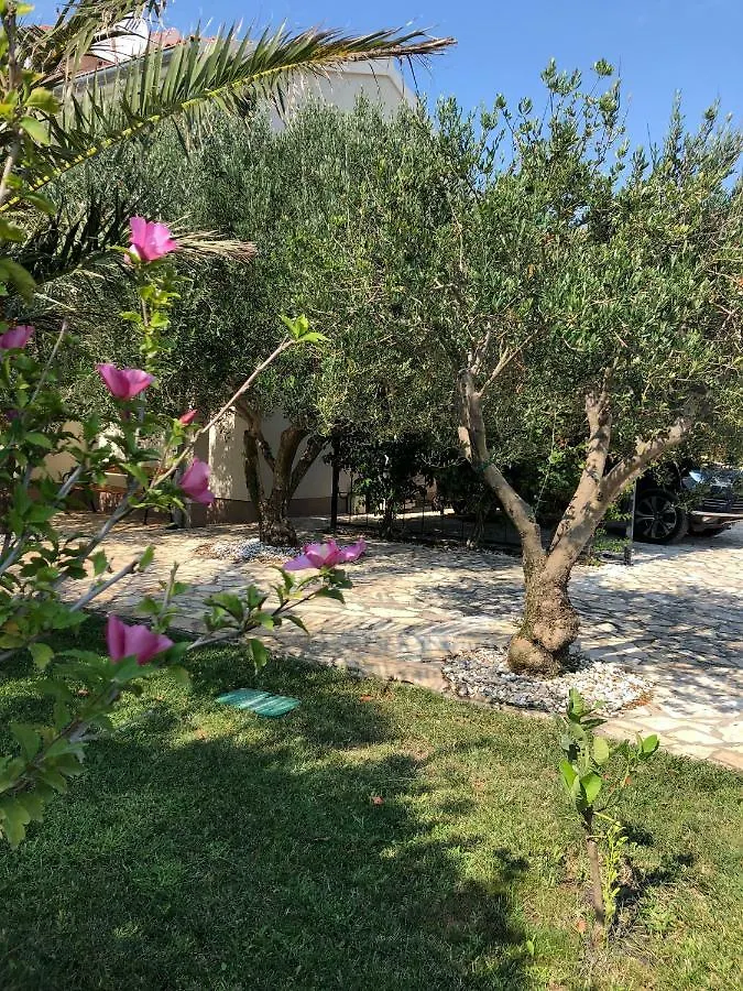 Villa Olive Grove Ferienhaus In Kroatien Direkt Am Meer Nahe Zadar Und Nin Privlaka