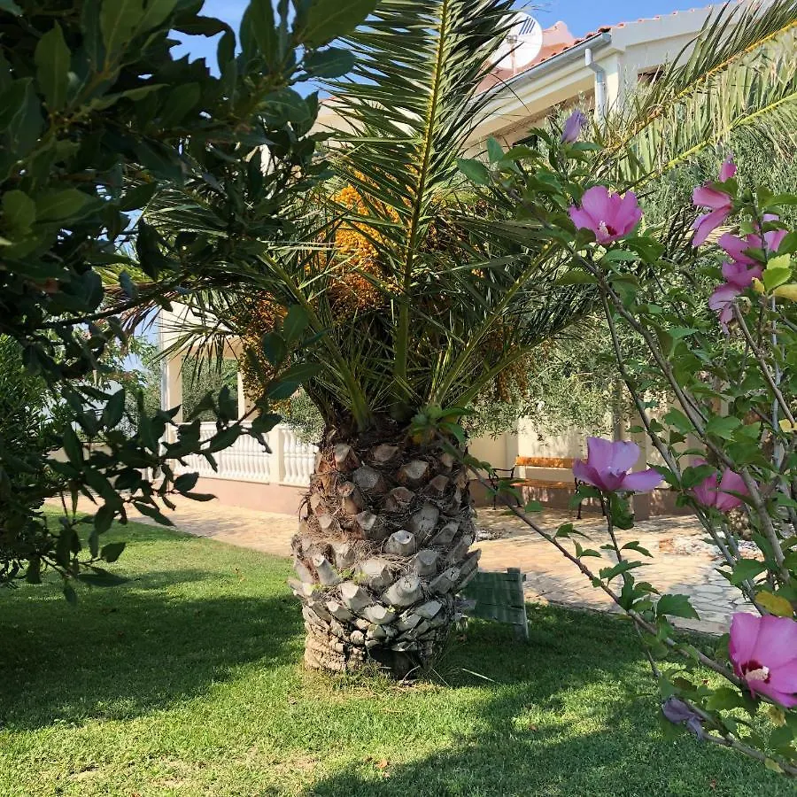 Villa Olive Grove Ferienhaus In Kroatien Direkt Am Meer Nahe Zadar Und Nin Privlaka
