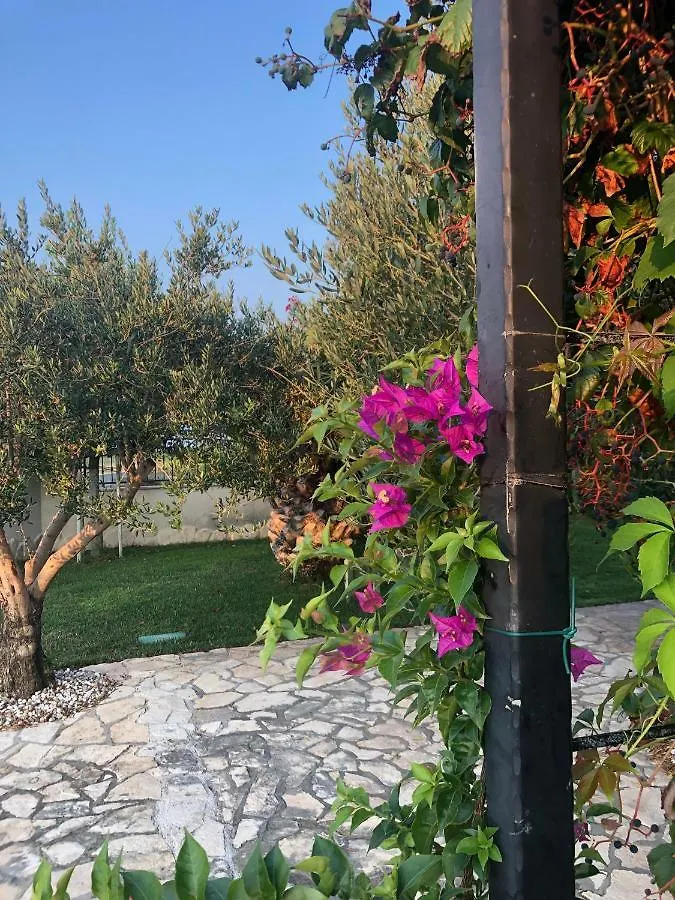 Villa Olive Grove Ferienhaus In Kroatien Direkt Am Meer Nahe Zadar Und Nin Privlaka  Privlaka (Zadar)