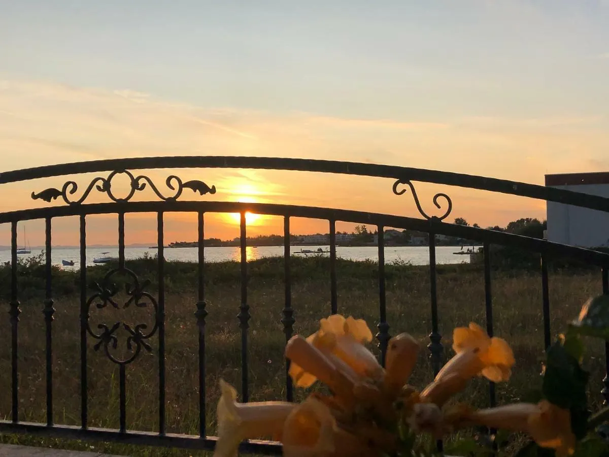Villa Olive Grove Ferienhaus In Kroatien Direkt Am Meer Nahe Zadar Und Nin Privlaka  Croatia