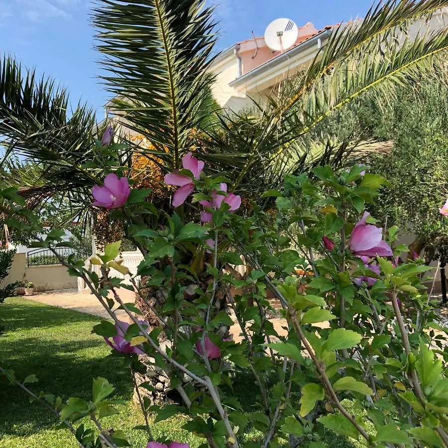 Villa Olive Grove Ferienhaus In Kroatien Direkt Am Meer Nahe Zadar Und Nin Privlaka  Privlaka (Zadar)
