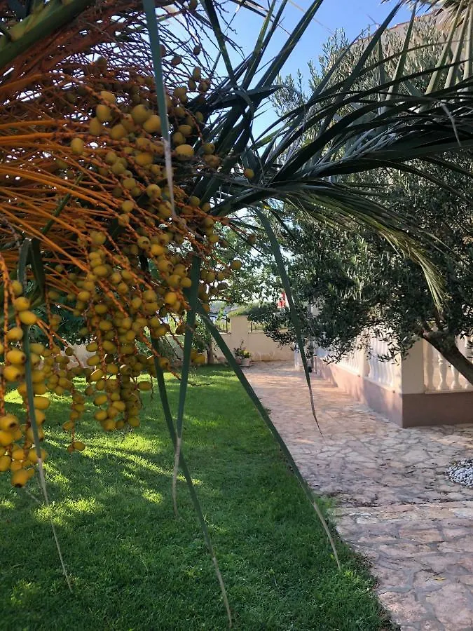 Villa Olive Grove Ferienhaus In Kroatien Direkt Am Meer Nahe Zadar Und Nin Privlaka  Croatia