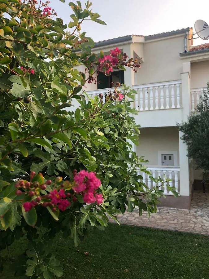 Villa Olive Grove Ferienhaus In Kroatien Direkt Am Meer Nahe Zadar Und Nin Privlaka  Privlaka (Zadar)