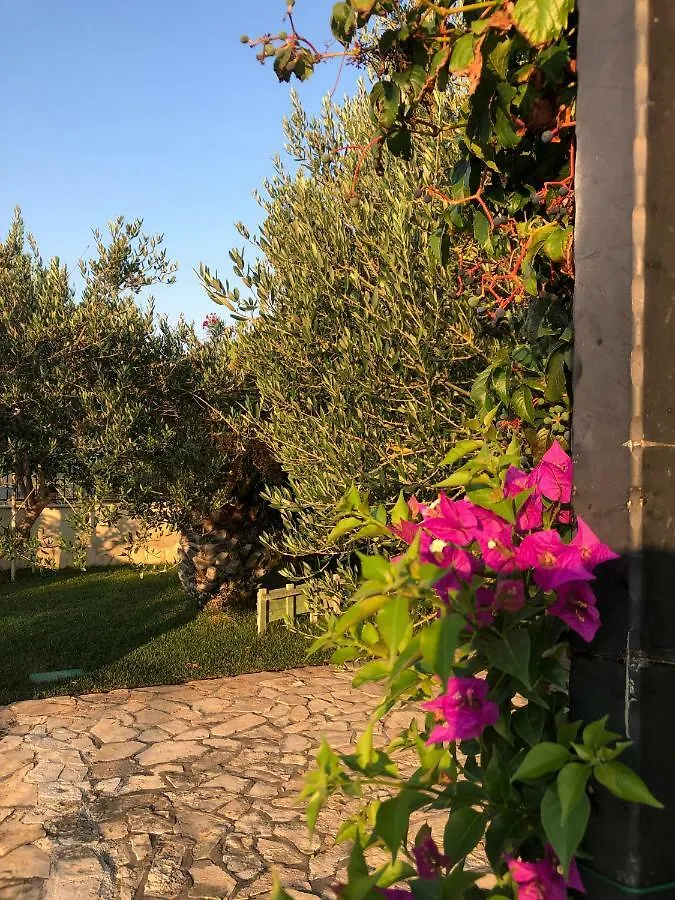 Villa Olive Grove Ferienhaus In Kroatien Direkt Am Meer Nahe Zadar Und Nin Privlaka  0*, Privlaka (Zadar)