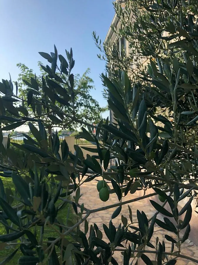 Villa Olive Grove Ferienhaus In Kroatien Direkt Am Meer Nahe Zadar Und Nin Privlaka