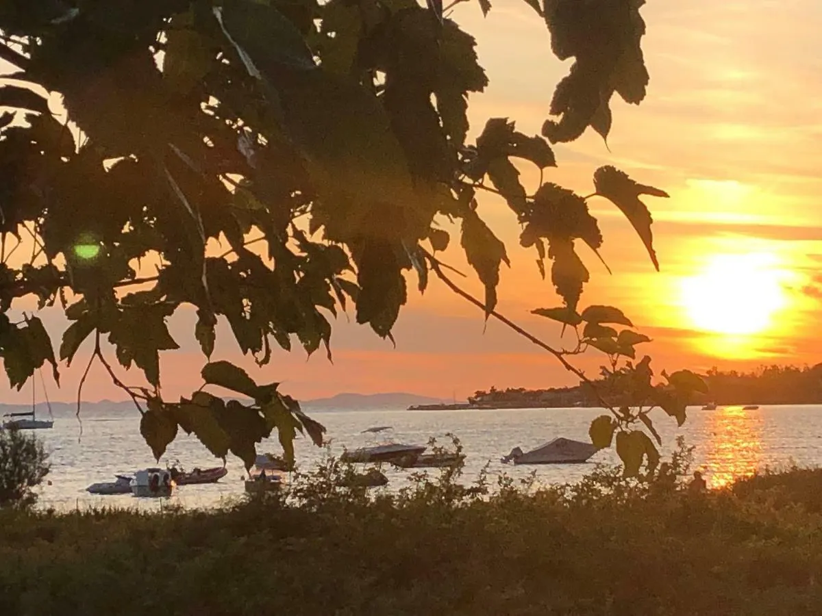 Villa Olive Grove Ferienhaus In Kroatien Direkt Am Meer Nahe Zadar Und Nin Privlaka