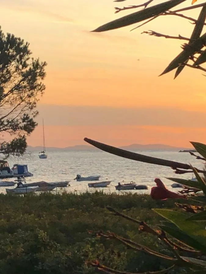 Villa Olive Grove Ferienhaus In Kroatien Direkt Am Meer Nahe Zadar Und Nin Privlaka