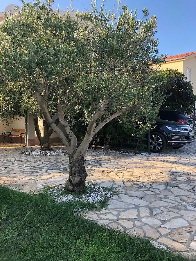 Villa Olive Grove Ferienhaus In Kroatien Direkt Am Meer Nahe Zadar Und Nin Privlaka