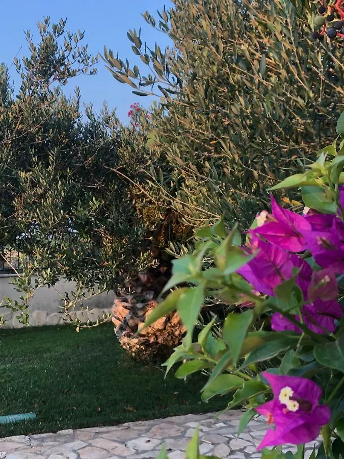 Villa Olive Grove Ferienhaus In Kroatien Direkt Am Meer Nahe Zadar Und Nin Privlaka  Croatia