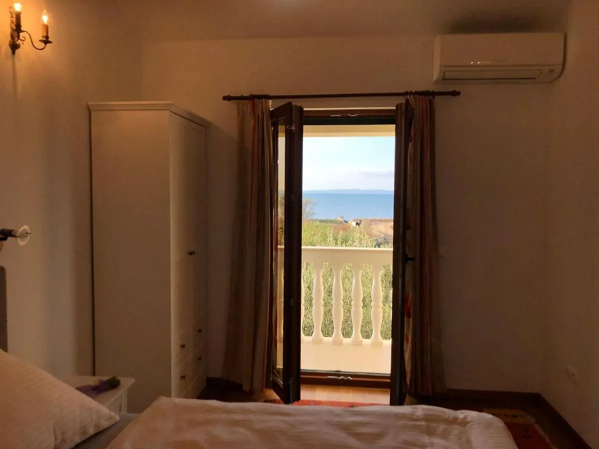 Villa Olive Grove Ferienhaus In Kroatien Direkt Am Meer Nahe Zadar Und Nin Privlaka